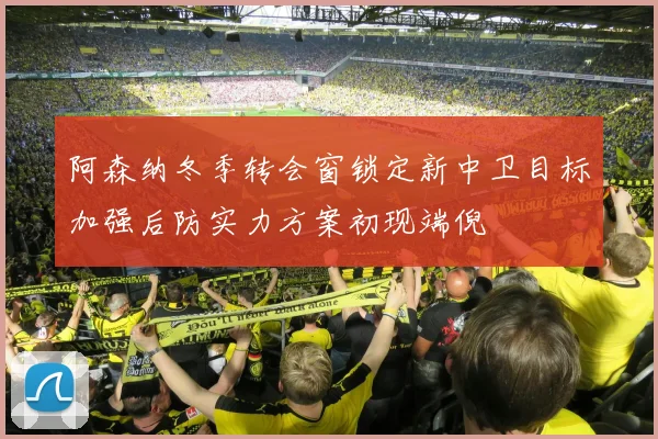 阿森纳冬季转会窗锁定新中卫目标加强后防实力方案初现端倪